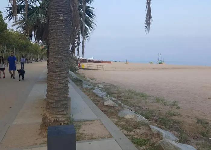 2 Habit Vistas Playa Y Montana Lift Parking * Calella